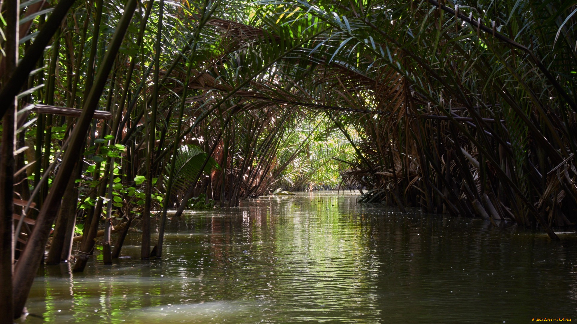 mekong delta, vietnam, , , , mekong, delta